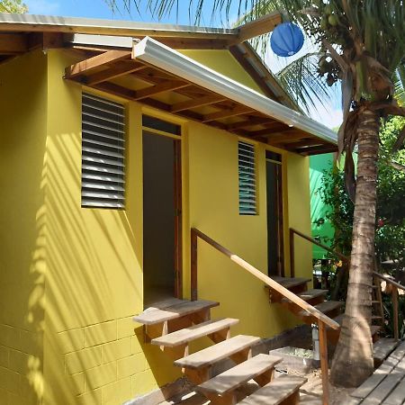 The Funky Dodo Backpackers Hostel Хопкинс Екстериор снимка