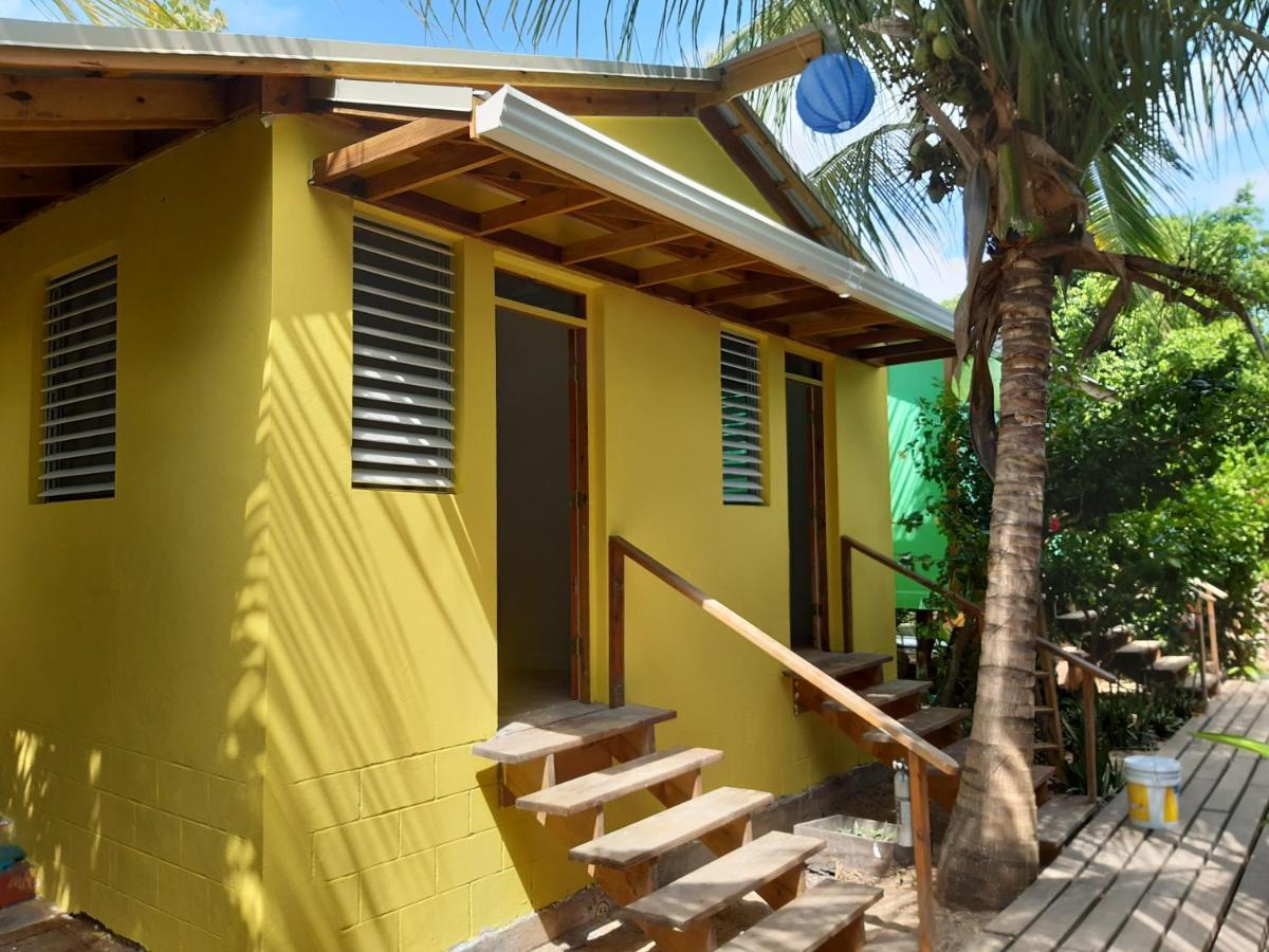 The Funky Dodo Backpackers Hostel Хопкинс Екстериор снимка