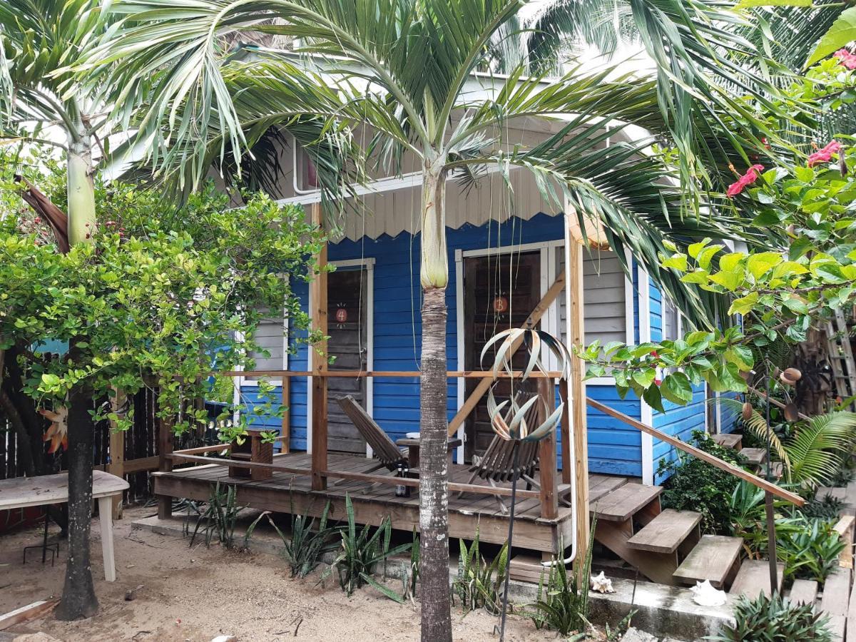 The Funky Dodo Backpackers Hostel Хопкинс Екстериор снимка