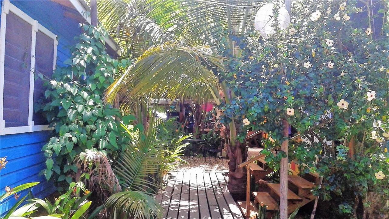 The Funky Dodo Backpackers Hostel Хопкинс Екстериор снимка