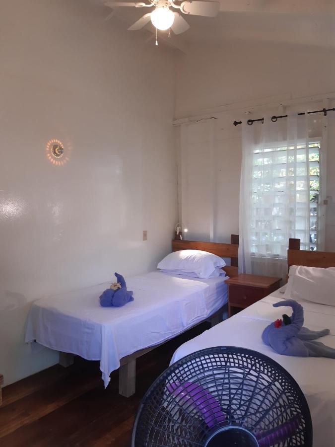The Funky Dodo Backpackers Hostel Хопкинс Екстериор снимка