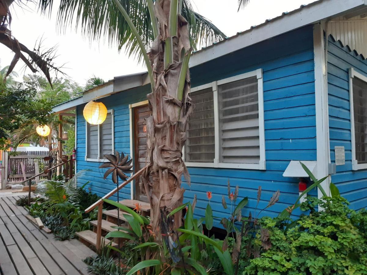 The Funky Dodo Backpackers Hostel Хопкинс Екстериор снимка