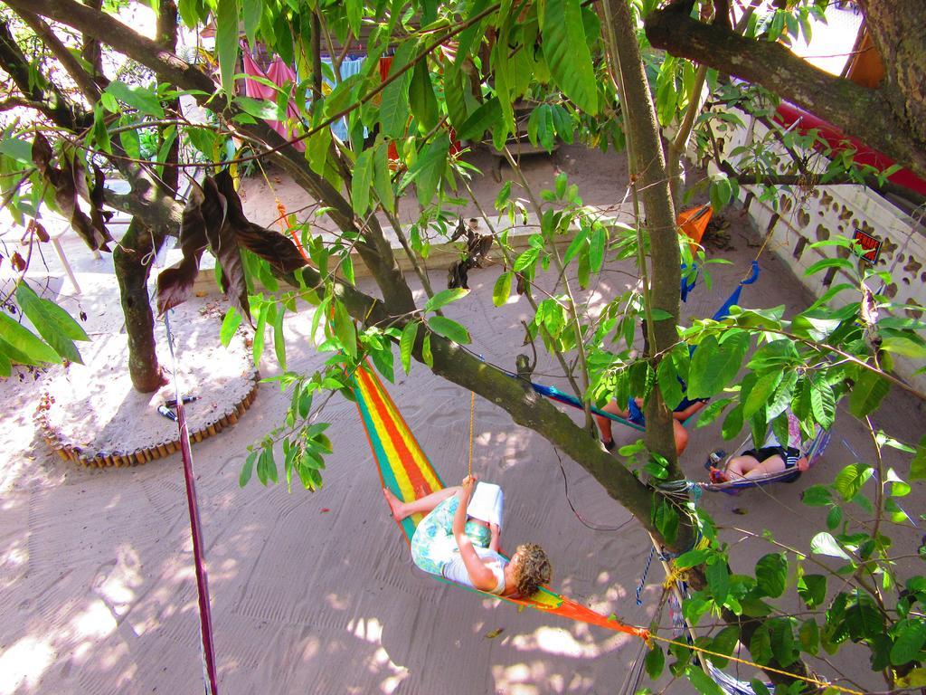 The Funky Dodo Backpackers Hostel Хопкинс Екстериор снимка