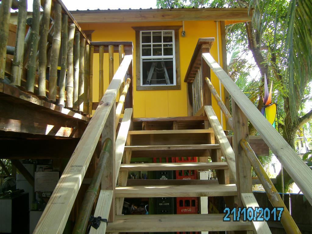The Funky Dodo Backpackers Hostel Хопкинс Екстериор снимка