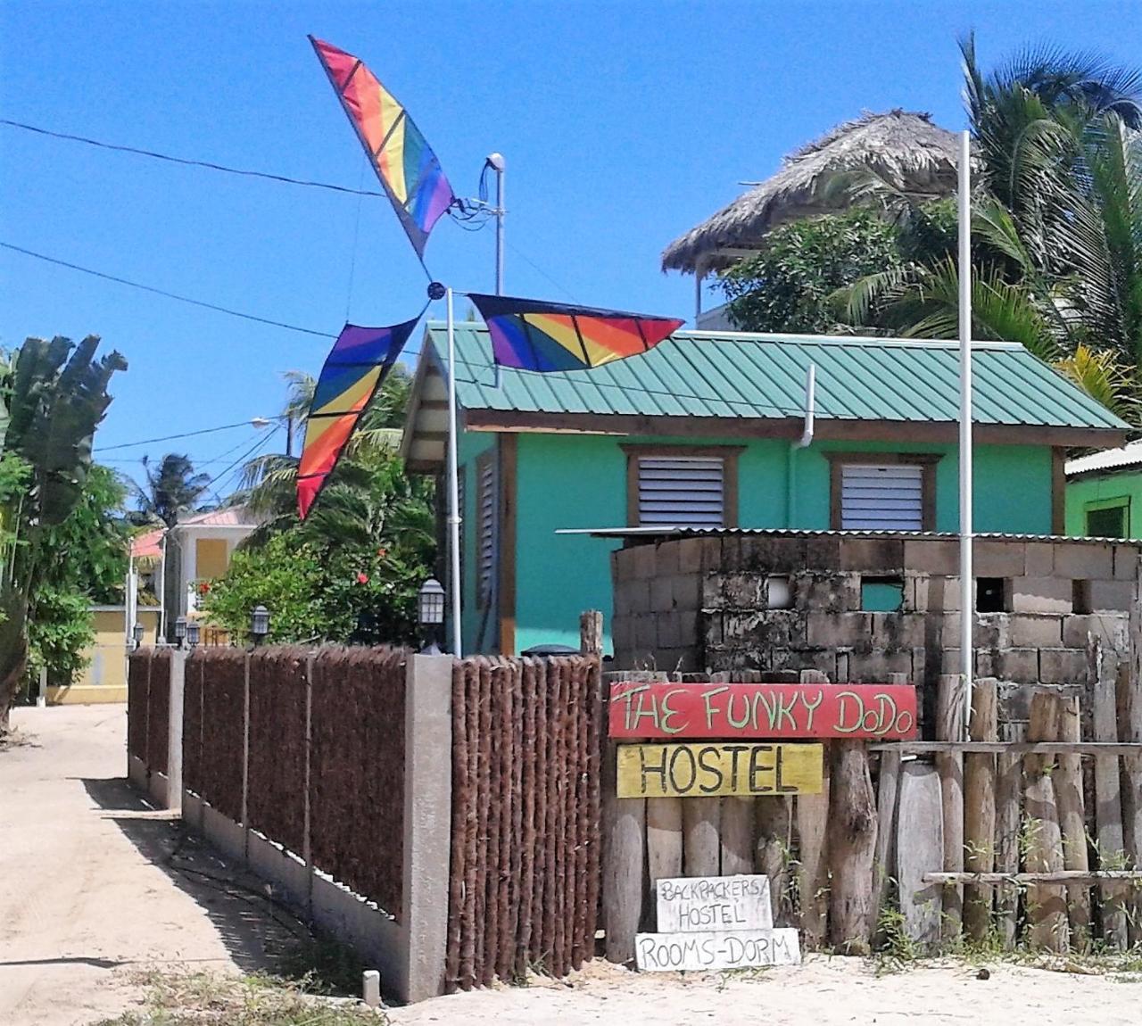 The Funky Dodo Backpackers Hostel Хопкинс Екстериор снимка