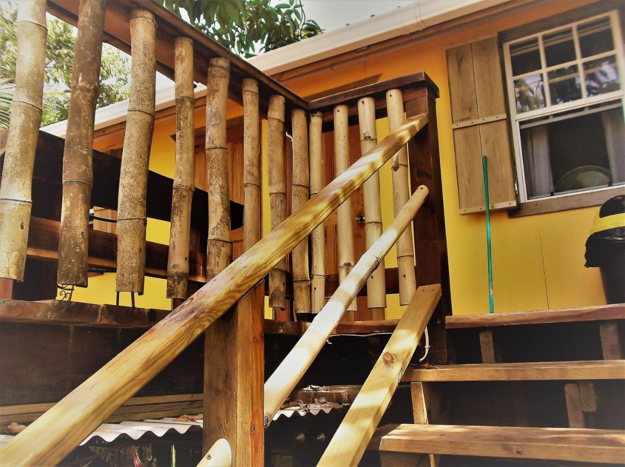 The Funky Dodo Backpackers Hostel Хопкинс Екстериор снимка