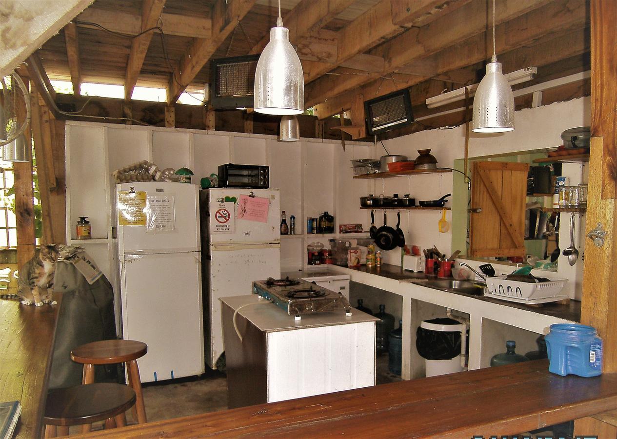 The Funky Dodo Backpackers Hostel Хопкинс Екстериор снимка