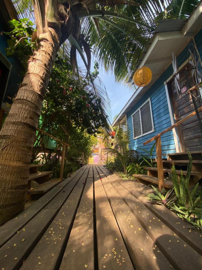 The Funky Dodo Backpackers Hostel Хопкинс Екстериор снимка