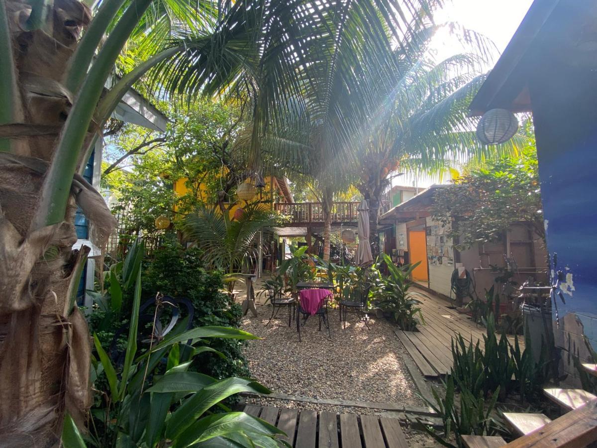 The Funky Dodo Backpackers Hostel Хопкинс Екстериор снимка