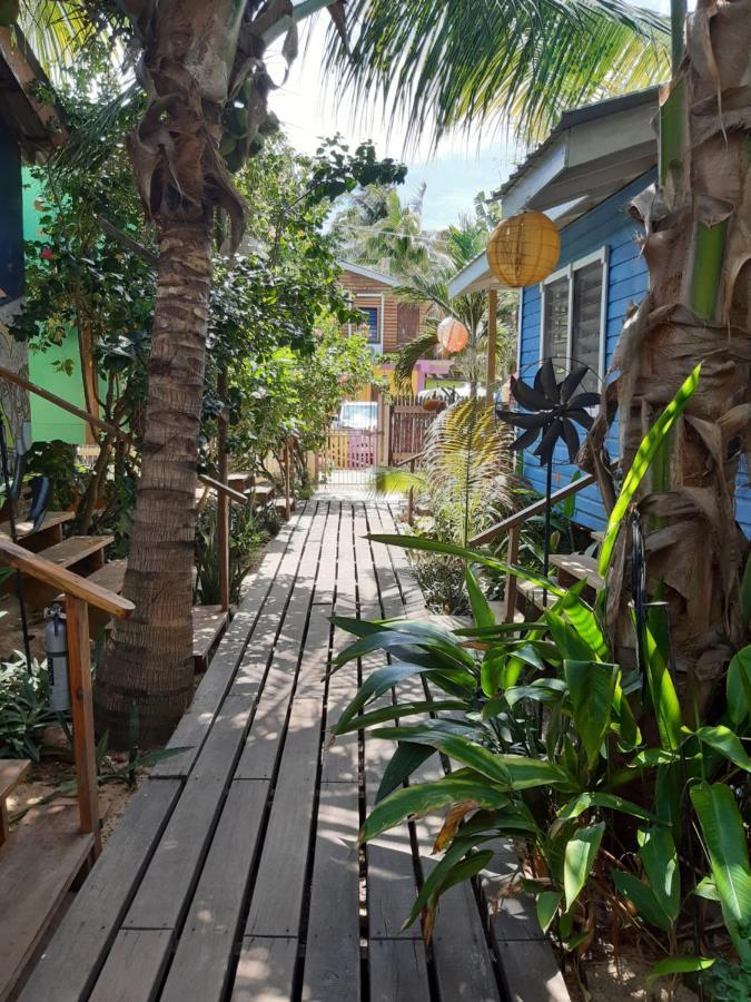 The Funky Dodo Backpackers Hostel Хопкинс Екстериор снимка