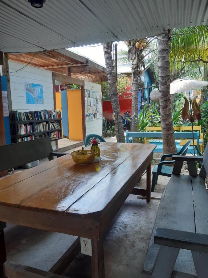 The Funky Dodo Backpackers Hostel Хопкинс Екстериор снимка