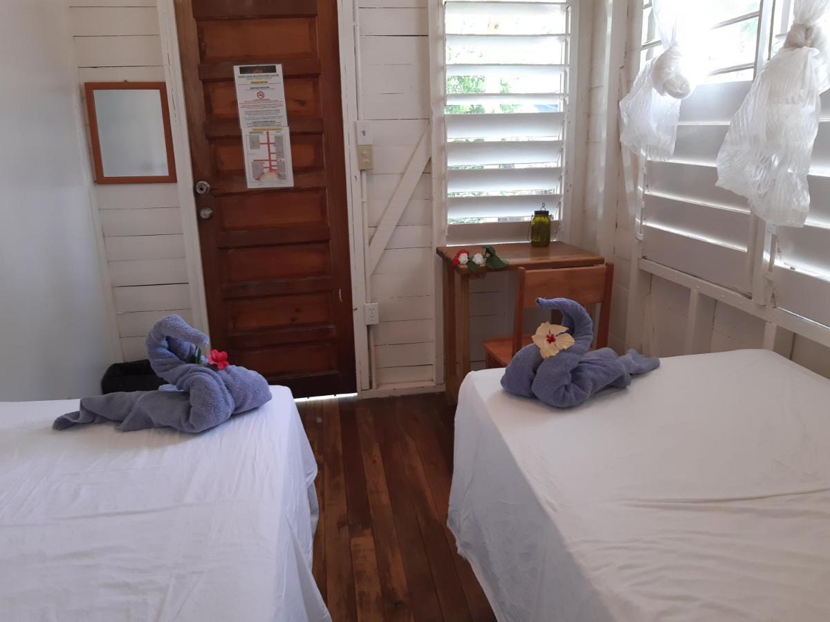 The Funky Dodo Backpackers Hostel Хопкинс Екстериор снимка